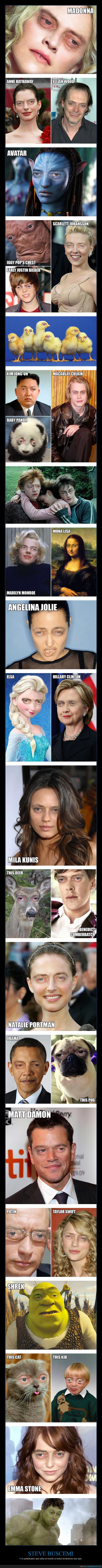 actor,cine,buscemi,ojazos,miedo